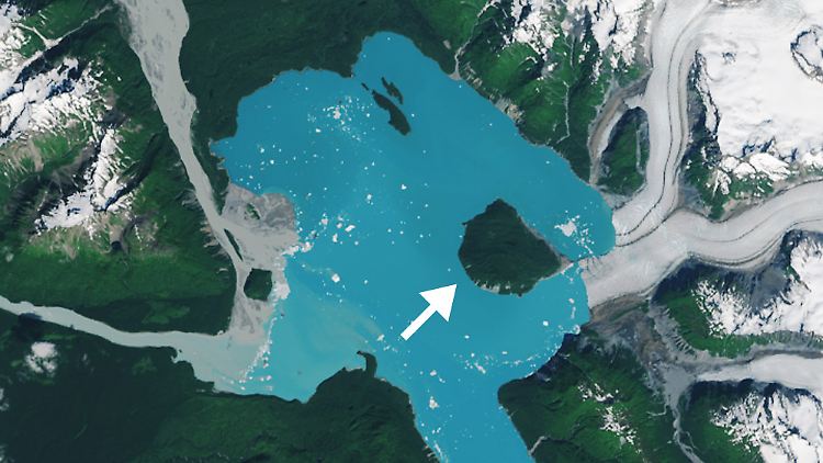 Diese Aufnahme des Landsat-9-Satelliten vom 6. August 2025 zeigt einen frisch zur Insel gewordenen Berg im Alsek Lake in Alaska.