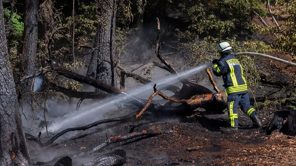 Ein-Feuerwehrmann-ist-mit-Loescharbeiten-in-einem-Wald-beschaeftigt