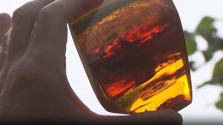 bernstein_Screenshot 2025-09-18 122545.jpg