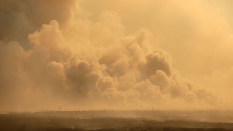 Riesige Rauchschwaden verdunkeln den Himmel in der spanischen Region Leon. 