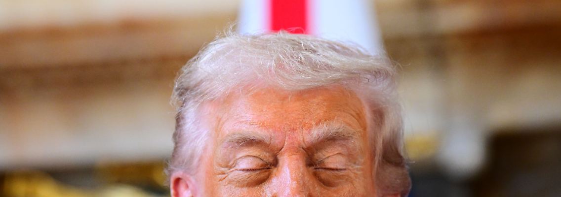 547867781.jpg