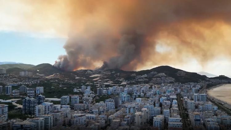 Screenshot 2025-09-20 104347.png