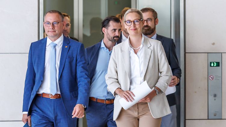 Die Parteivorsitzenden der AfD Tino Chrupalla und Alice Weidel im Bundestag auf dem Weg zu einem Statement.