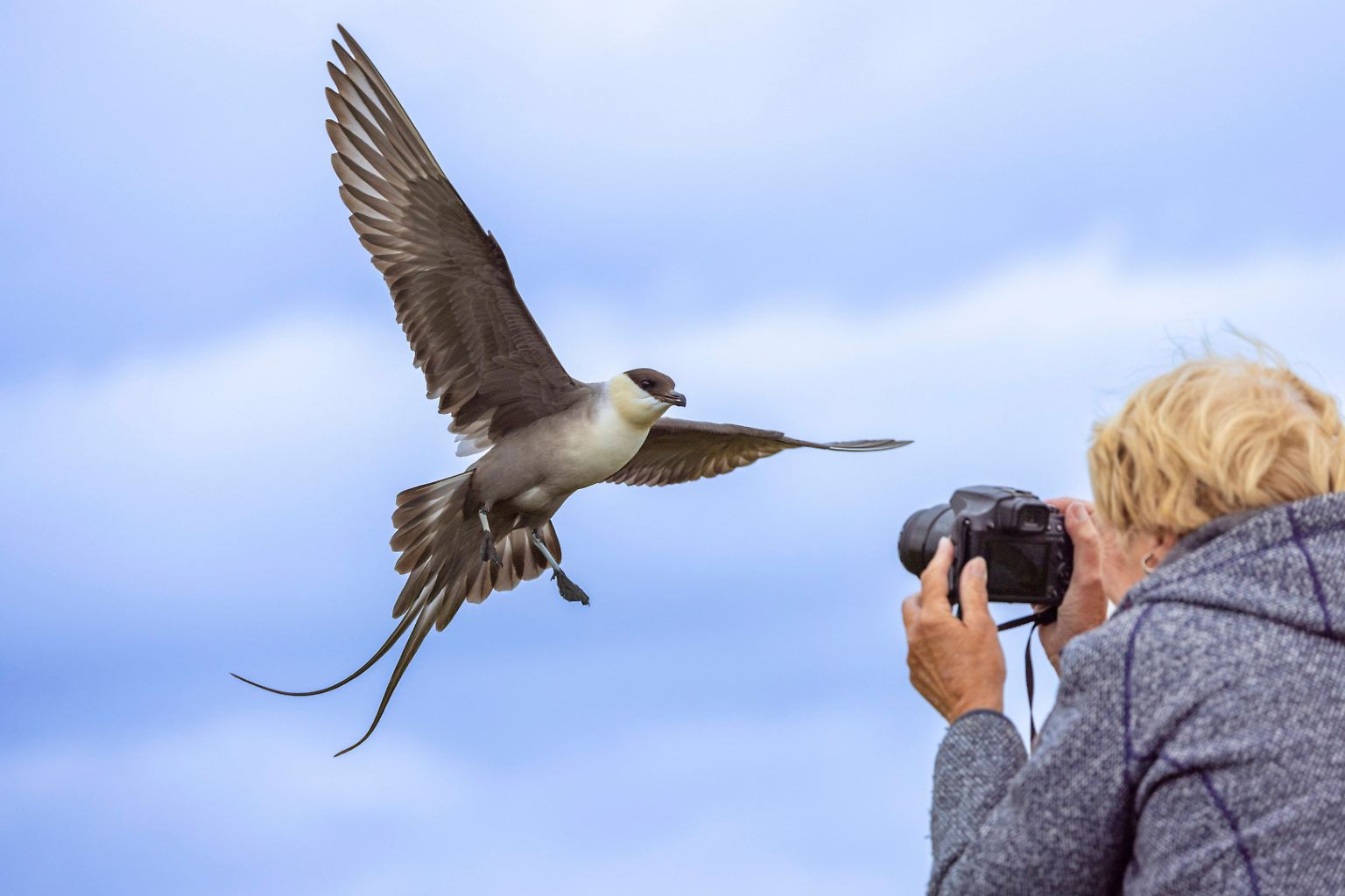 Die Gewinnerinnen und Gewinner des "Bird Photographer of the Year"-Awards stehen fest. Der Preis für den besten Vogelfotografen geht dieses Jahr an ... 
