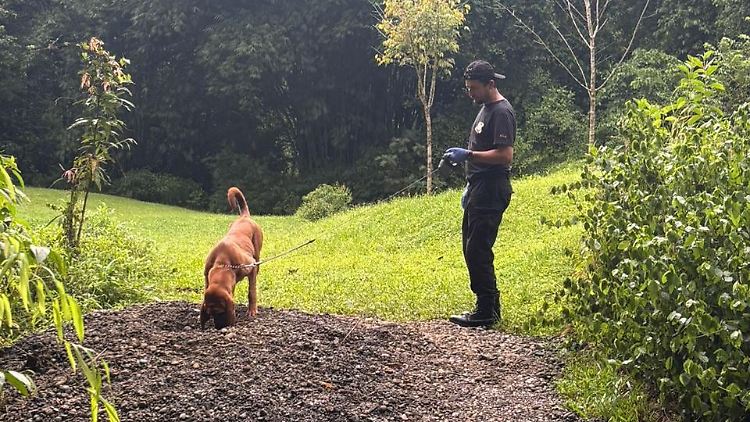 Die Ermittler vermuten, dass die Österreicherin und ihr Partner bei einem Überfall in ihrer Finca erschossen worden sind. 