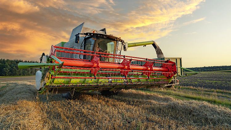 Ein Mähdrescher fährt in Niedersachsen die Ernte ein.