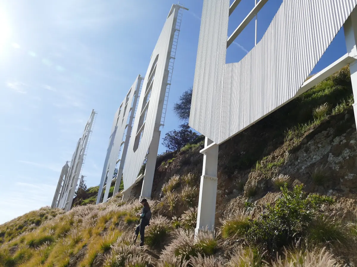 647c3462f0289541c4ed1e3fa37cc731