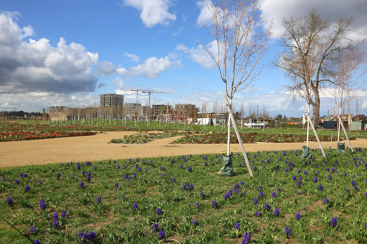 31fb4c8999a3252952e5d35c0a30b63d