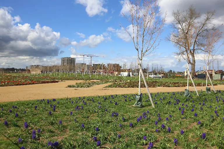 31fb4c8999a3252952e5d35c0a30b63d