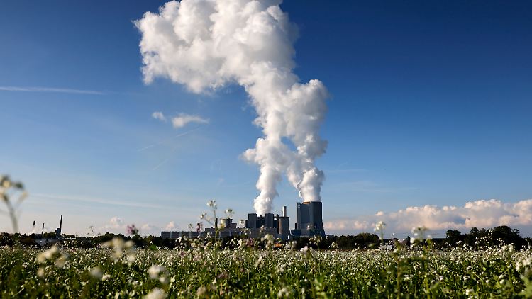 Dem EU-Bericht zufolge sind die Aussichten für die Umwelt in vielerlei Hinsicht besorgniserregend. 