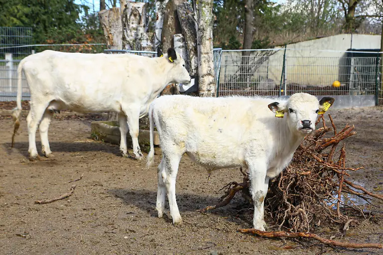 35894a90c26ff0d536c356f735674f09