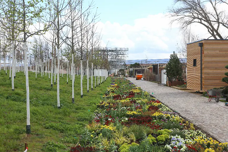 2835233181ae0530ed44f1252e23d67c