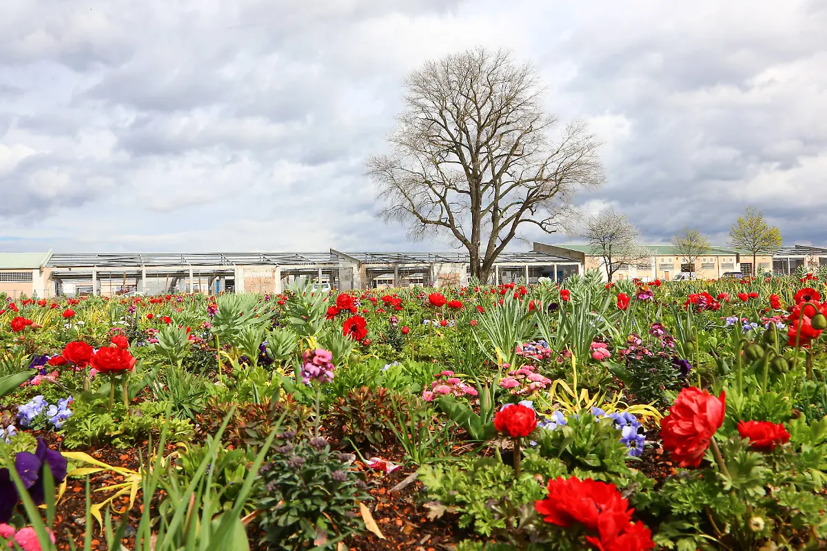 72dc45d697409b401af391d001c78b53