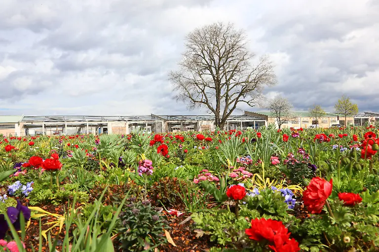 72dc45d697409b401af391d001c78b53