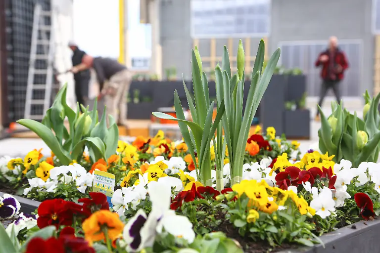 48b19c5b2ed3ed7a450e371aeff28417