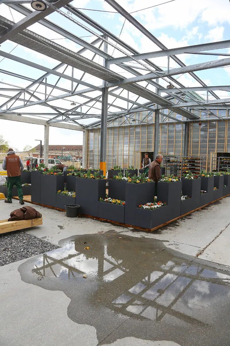 c8d1c9c14f3ecb3b1a35cb9ed2f0bb03