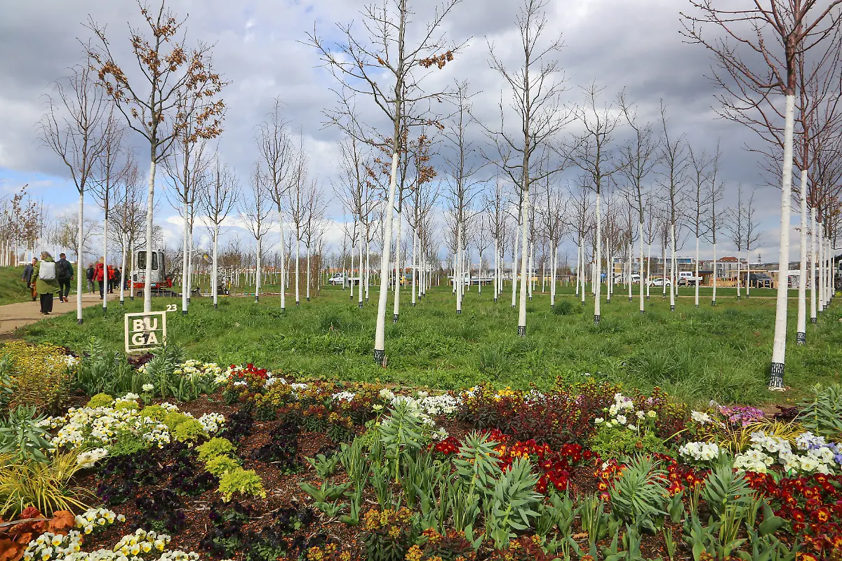 ee2218313efcdd4c98a84ed4a31b8524