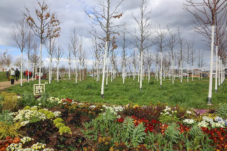 ee2218313efcdd4c98a84ed4a31b8524