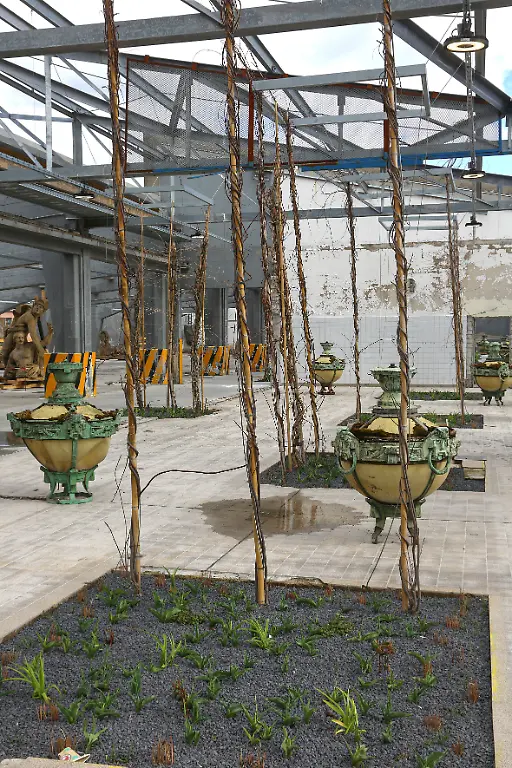 3f19aa5d3c31e18843e1ae6af230ec47