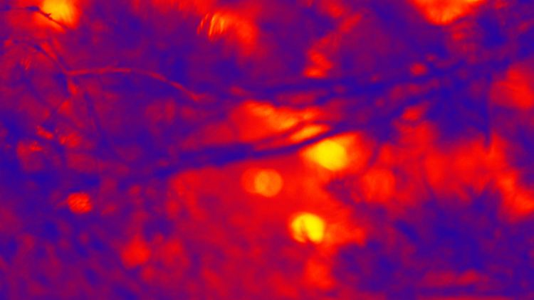 Das Mysterium der Irrlichter beschäftigt die Menschen schon lange.