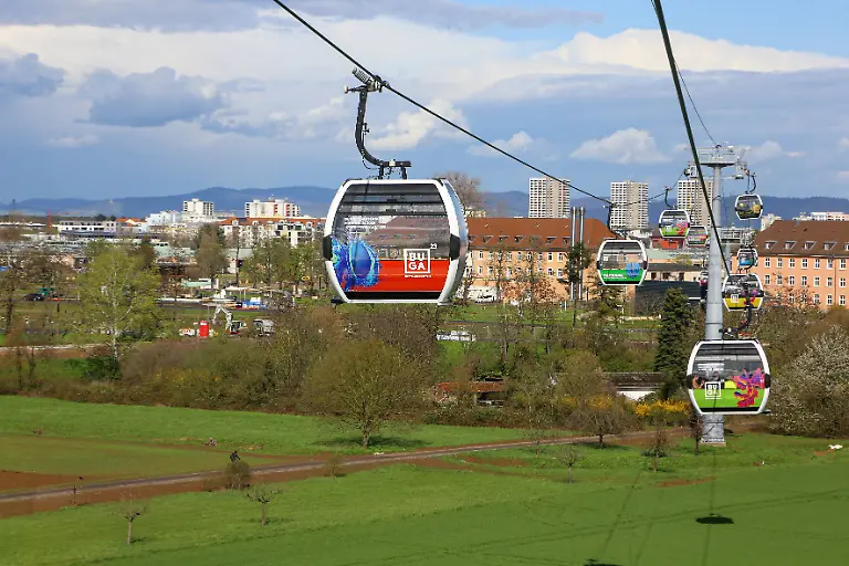 87f094cc0ee166676cc78be259d818dd