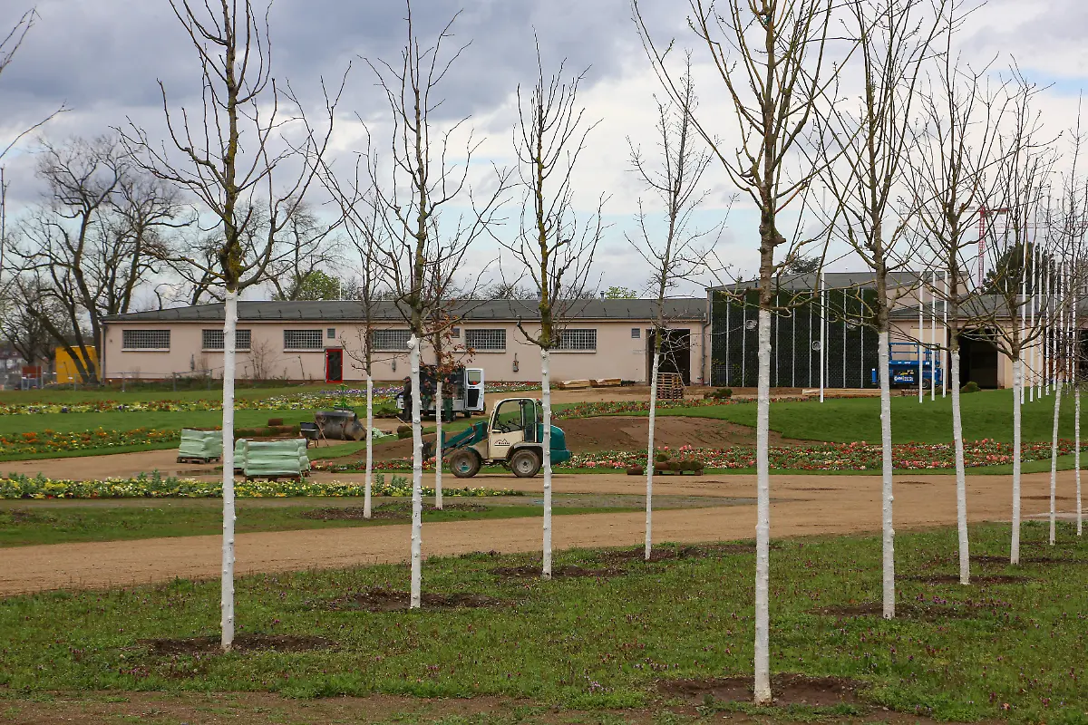 6cca91a32c76316dd8c19407bd3c246d