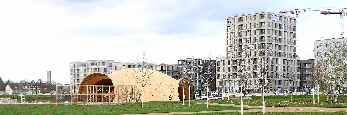 2747c98d6cb9be25aaae8f96a595c24e