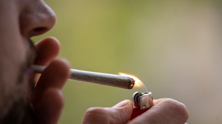Ziel der Reform durch die Ampel-Regierung war es, den Schwarzmarkt für Cannabis trockenzulegen. Das ist bisher nicht eingetreten.