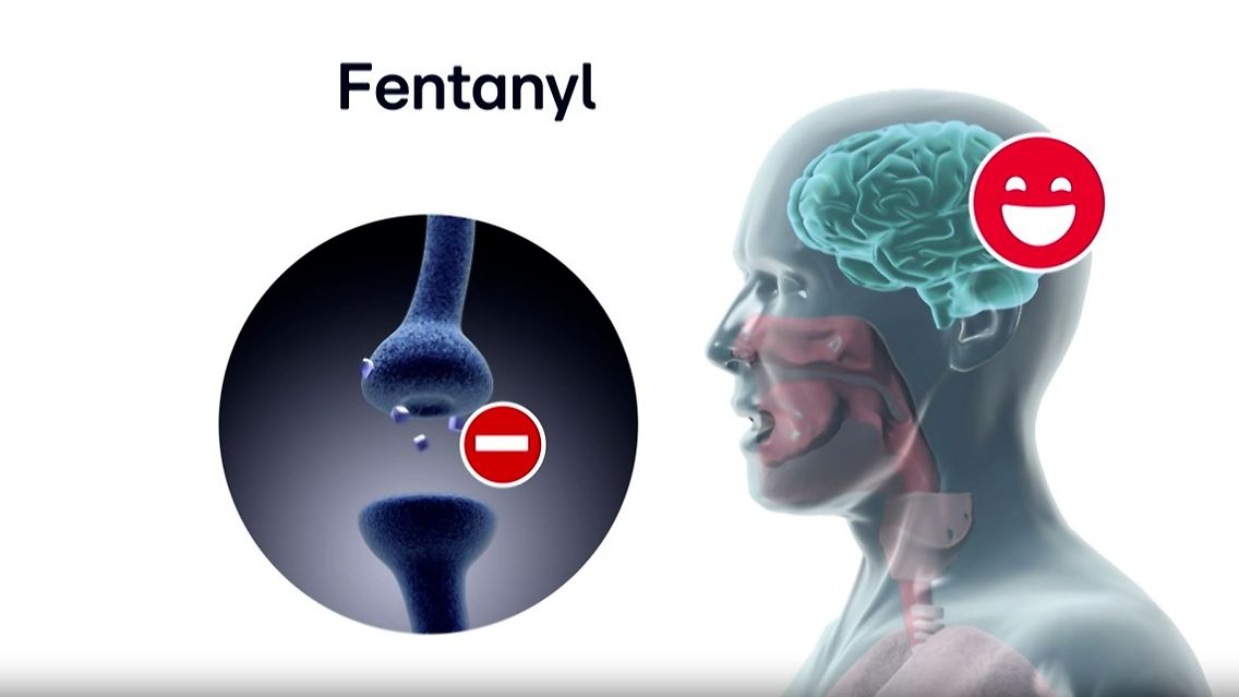 fent.jpg