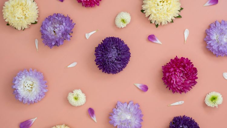 Ein Mindestbestellwert ist für den Blumen-Deal nicht notwendig. Der Gutschein gilt noch bis zum 12. Oktober.