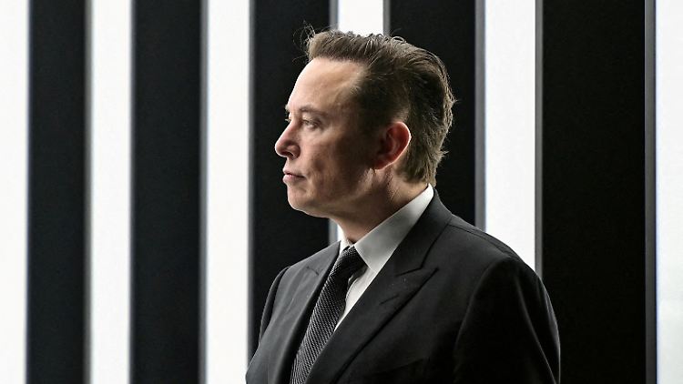 Musk sprach von einer "massiven Verbesserung im Vergleich zu Wikipedia".