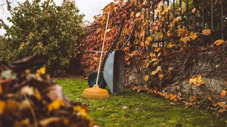 Weg mit den Blättern: Wer für solche Arbeiten rund ums Haus einen Dienstleister beauftragt, kann steuerlich profitieren.