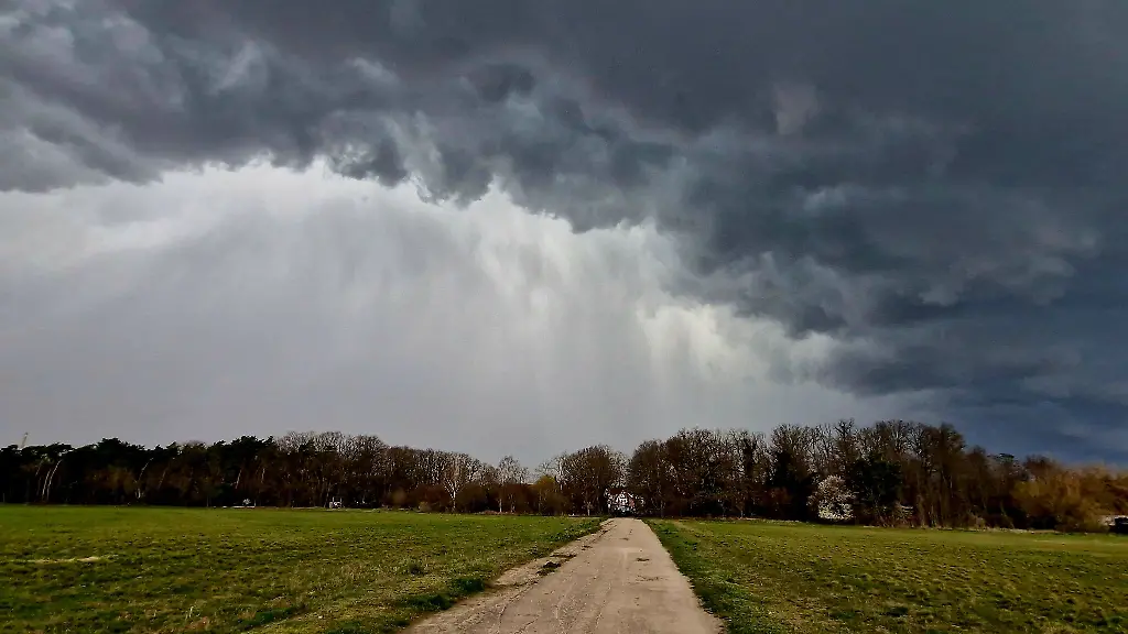 Regenwolken-sind-ueber-einem-Waldstueck-zu-sehen