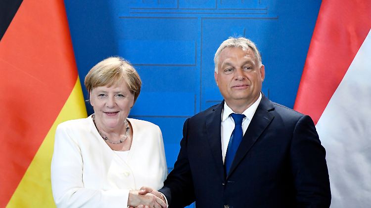 Die damalige Kanzlerin Angela Merkel und Viktor Orban bei einer Pressekonferenz 2019.