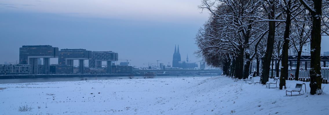 523038731.jpg