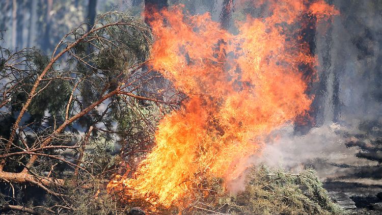 Die Trockenheit des Sommers 2018 führten auch in Deutschland zu einer erheblich größeren Anzahl an Waldbränden. 