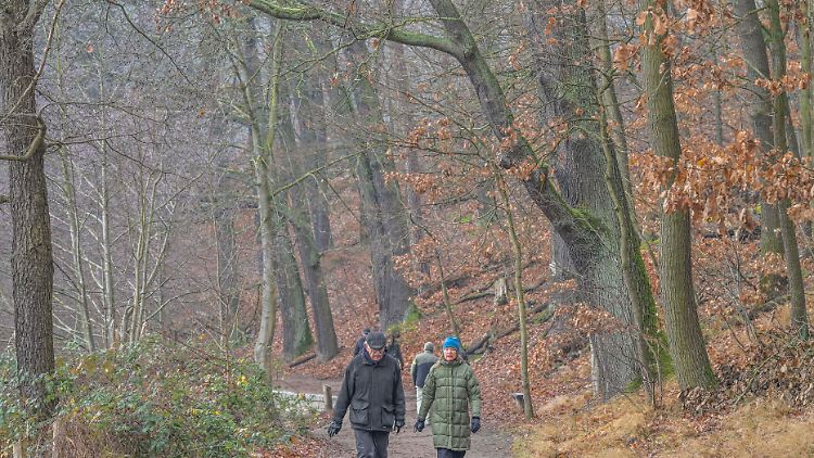 Goldener Herbst im Oktober? Eher nein.