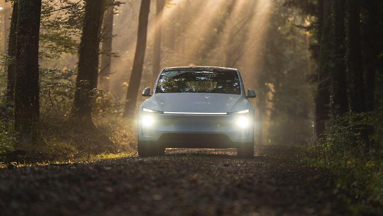Ein wirksamer Kaufanreiz für E-Autos, meint der Verband der Automobilindustrie.