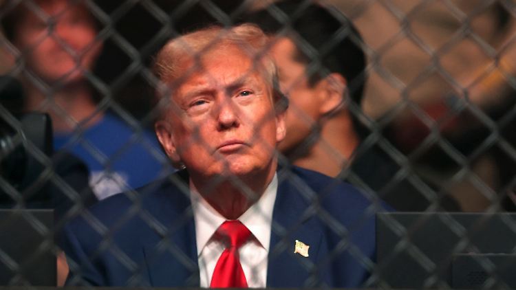 Trump saß schon mehrfach als Zuschauer in der Arena von MMA-Kämpfen. 