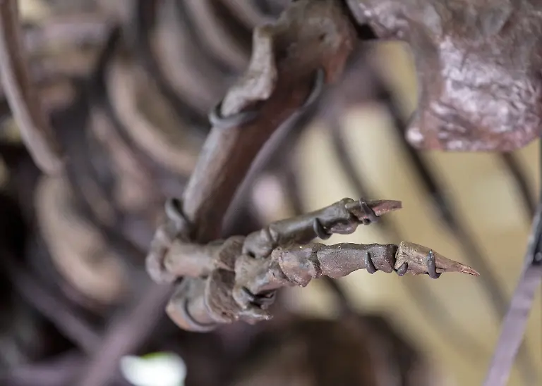 2023-03-29T131517Z-1900577087-RC2O30AN2ZXS-RTRMADP-3-AUCTION-DINOSAUR