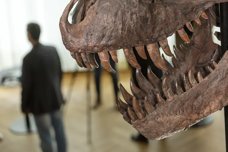 2023-03-29T131308Z-1026510273-RC2O30A6IX5Y-RTRMADP-3-AUCTION-DINOSAUR