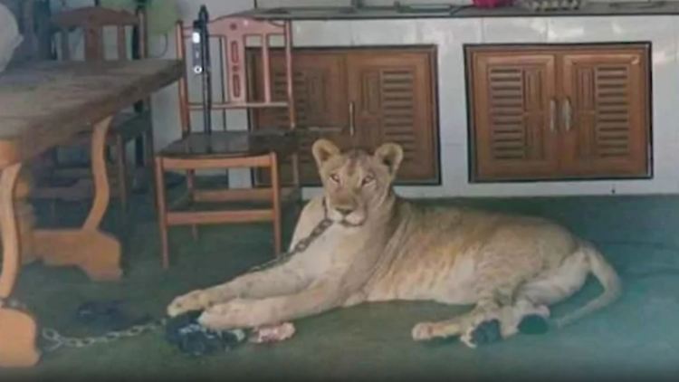 Screenshot 2025-10-06 184317.png