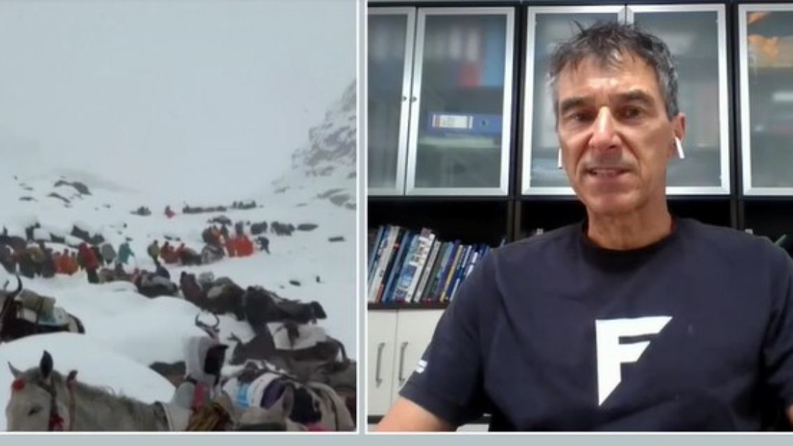 Everest_Wolf.jpg