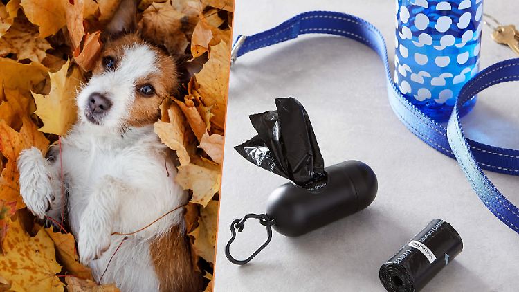 Amazon hat am Prime Day einen tollen Deal für Vierbeiner in petto: Kotbeutel zum Bestpreis.