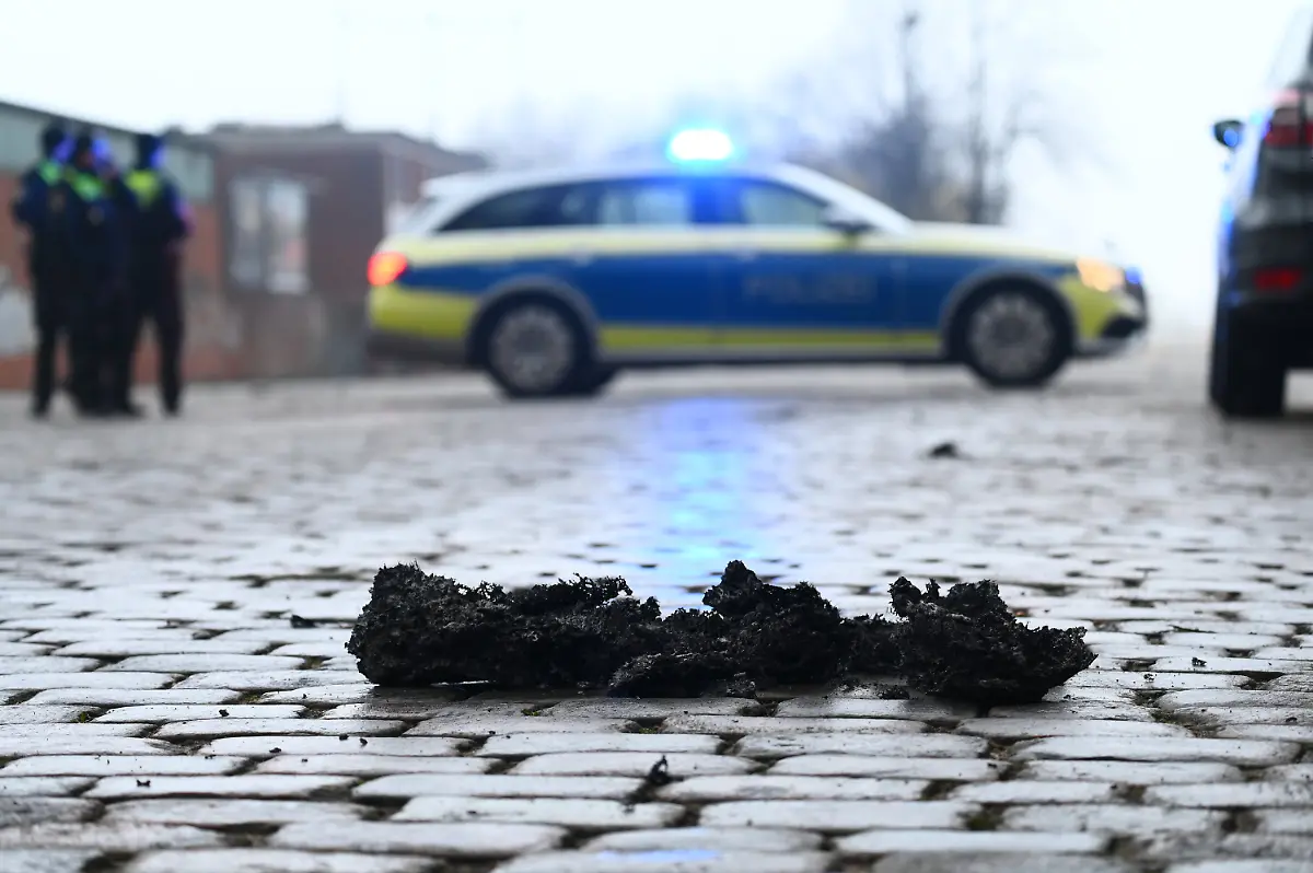 1d508682752a92352fd480063b2cb220