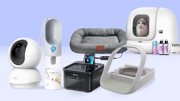 An den Prime Deal Days gibt es spannende Haustier-Deals!
