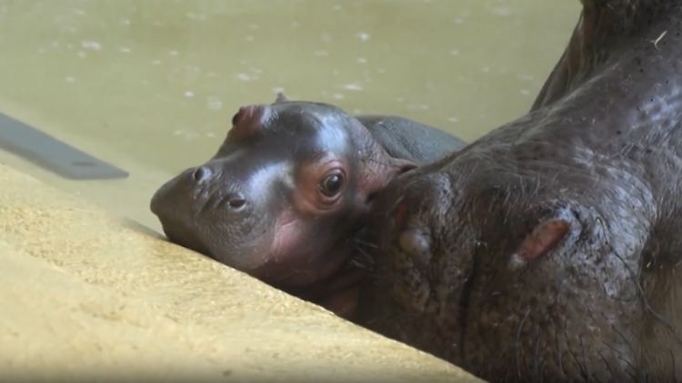 Screenshot 2025-10-08 184031.png