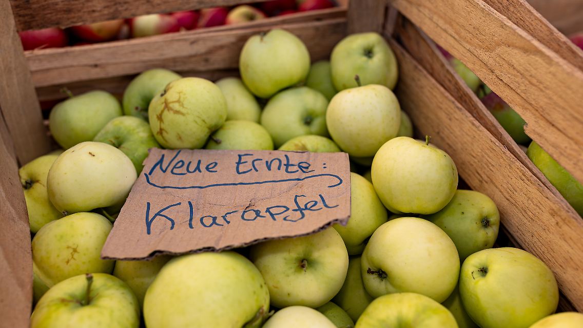 Am besten ist daher immer, regionale Saisonware zu kaufen. Ein Saisonkalender kann bei der Entscheidung helfen.
