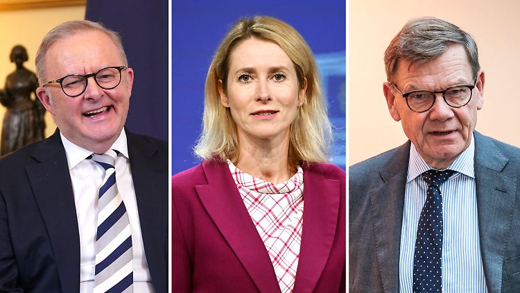 Albanese, Kallas und Wadephul freuen sich über die Einigung im Gaza-Krieg.