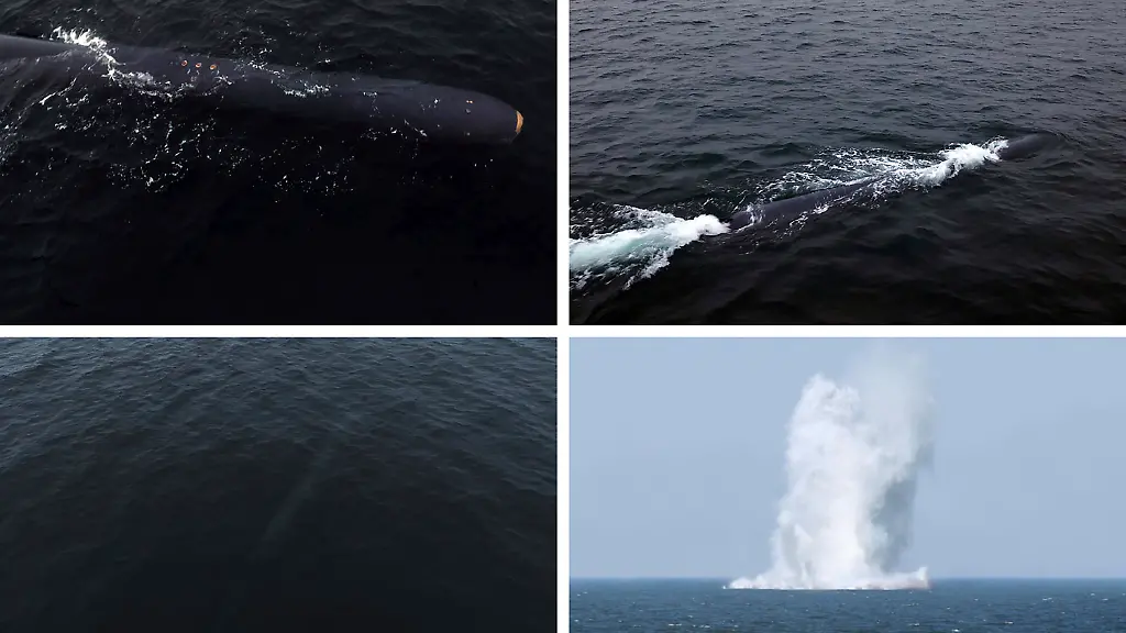 1913138cf79ede3c222838208e66f15d